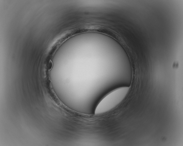 X0000110670731200906121100