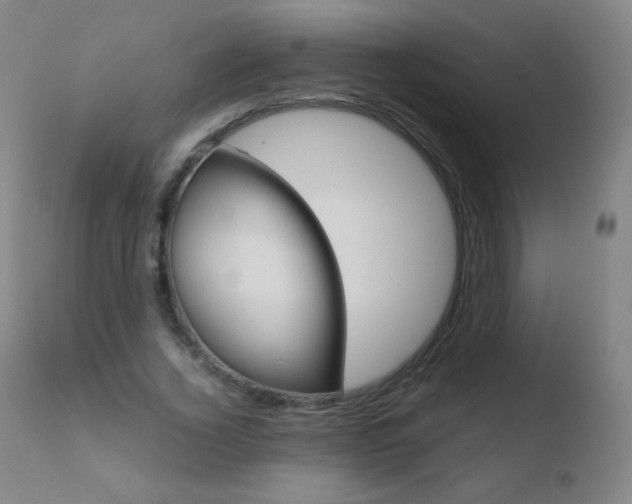X0000110670732200906121101