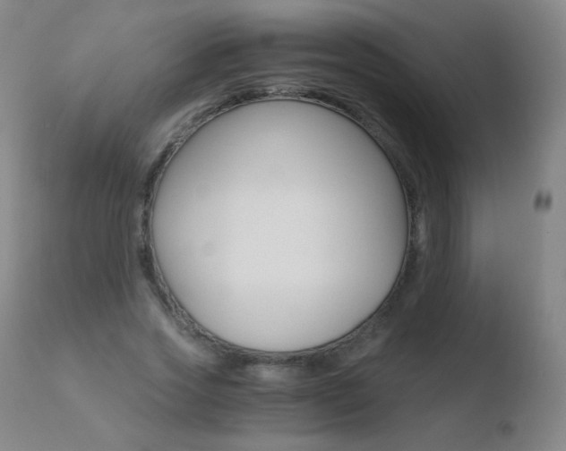 X0000110670733200906121101