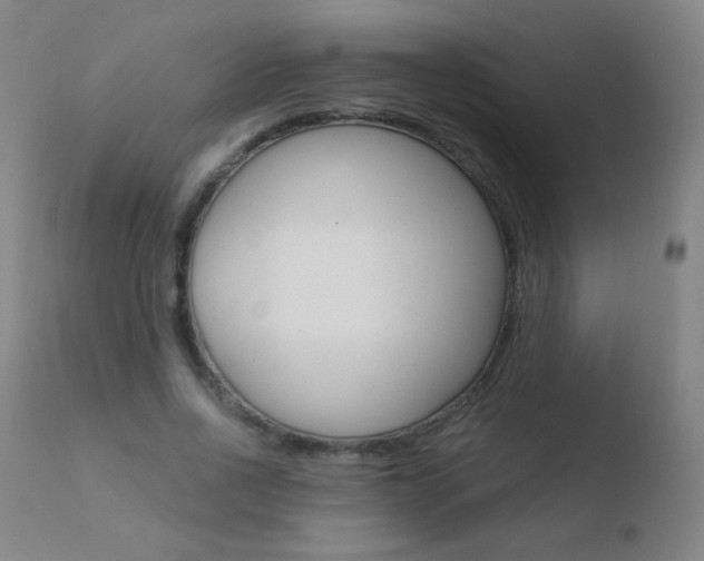 X0000110670734200906121101