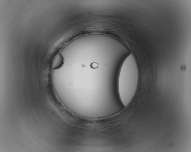 X0000110670735200906121101