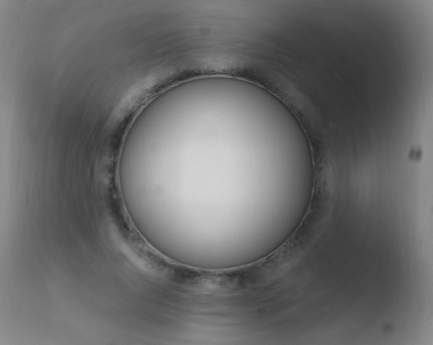 X0000110670736200906121101
