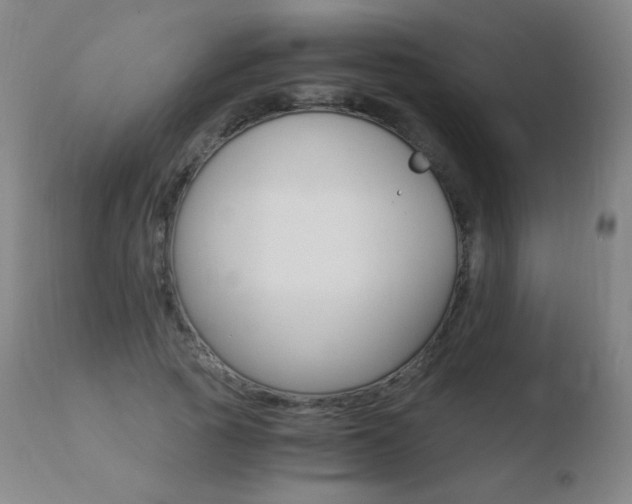 X0000110670737200906121101