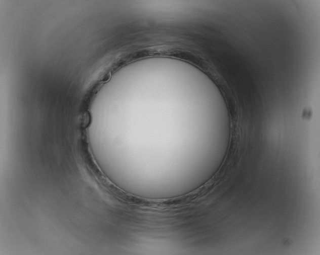X0000110670738200906121101