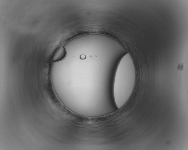 X0000110670739200906121101