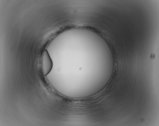 X0000110670740200906121101