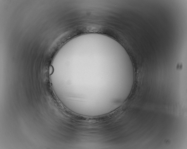 X0000110670741200906121101