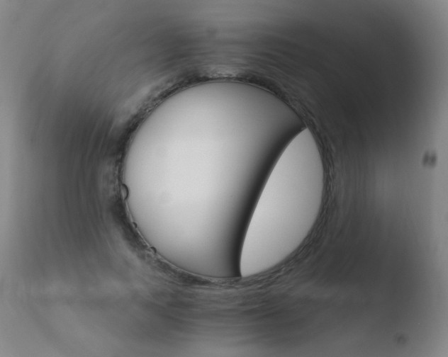 X0000110670743200906121101