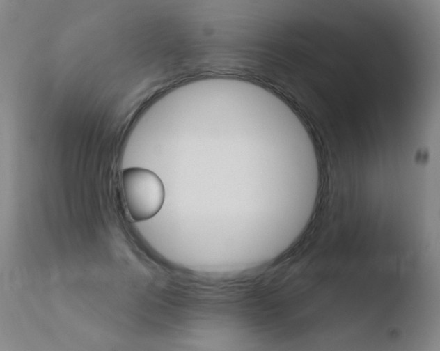 X0000110670744200906121101