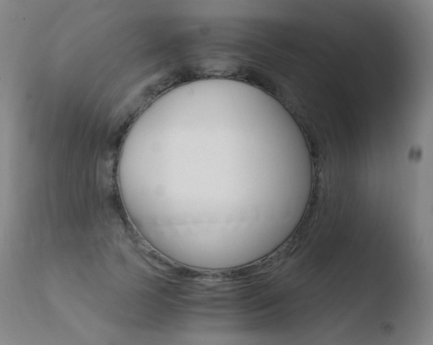 X0000110670745200906121101