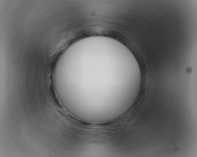 X0000110670746200906121101
