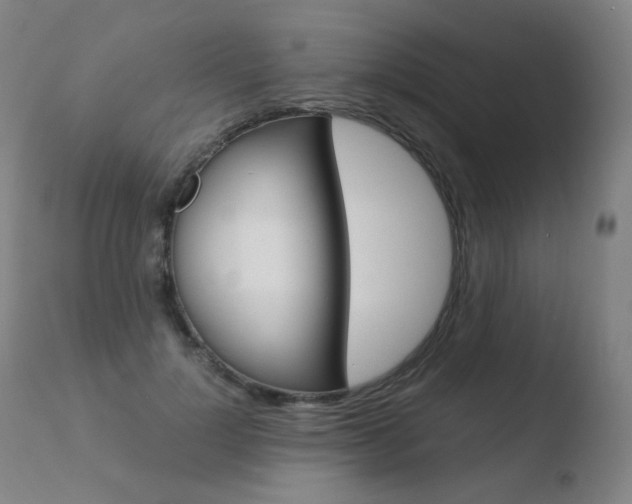 X0000110670748200906121101