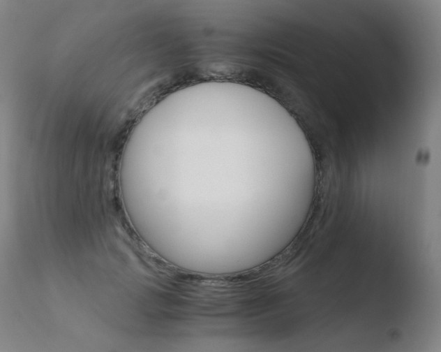 X0000110670749200906121101