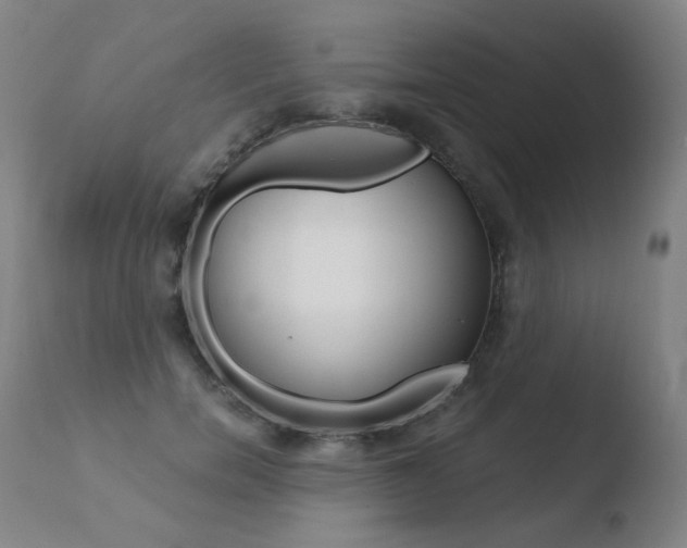 X0000110670750200906121101
