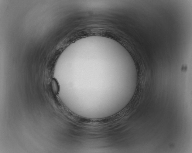 X0000110670751200906121101