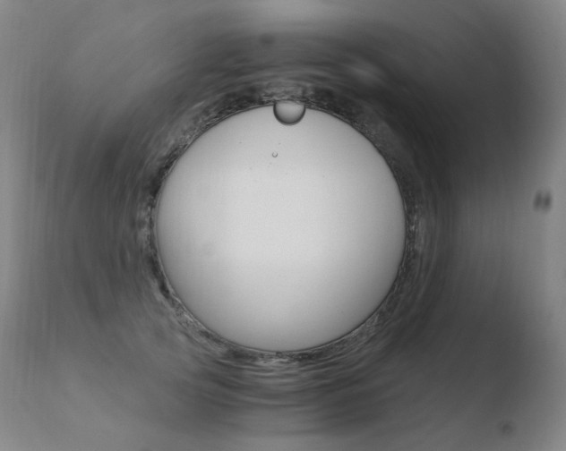 X0000110670753200906121101