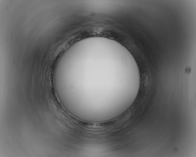X0000110670754200906121101