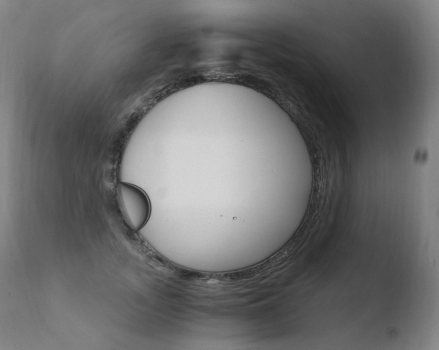 X0000110670755200906121101