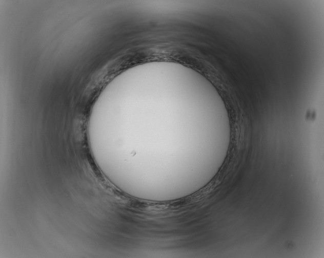 X0000110670757200906121101