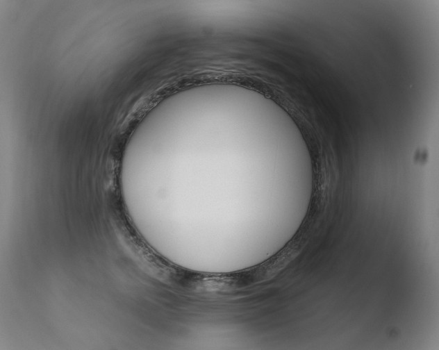 X0000110670758200906121101