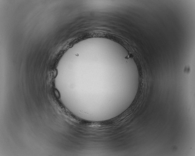 X0000110670759200906121101