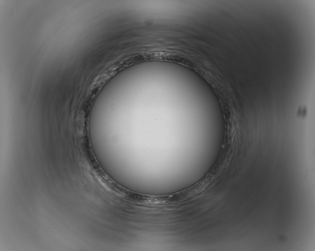 X0000110670760200906121101