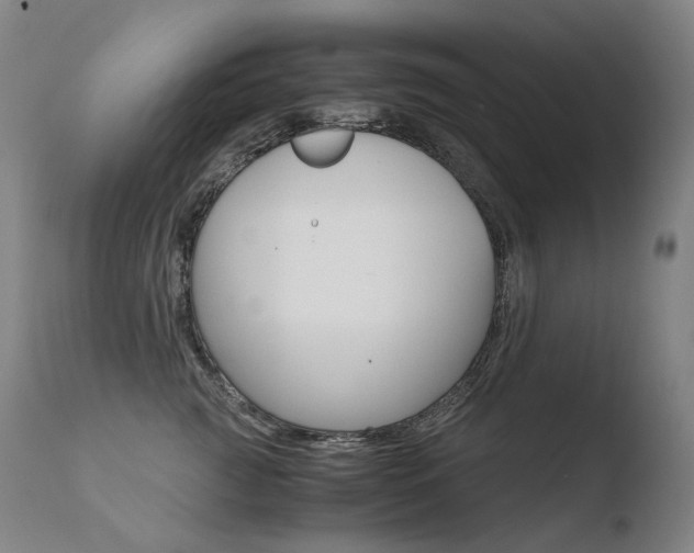 X0000110670761200906121101