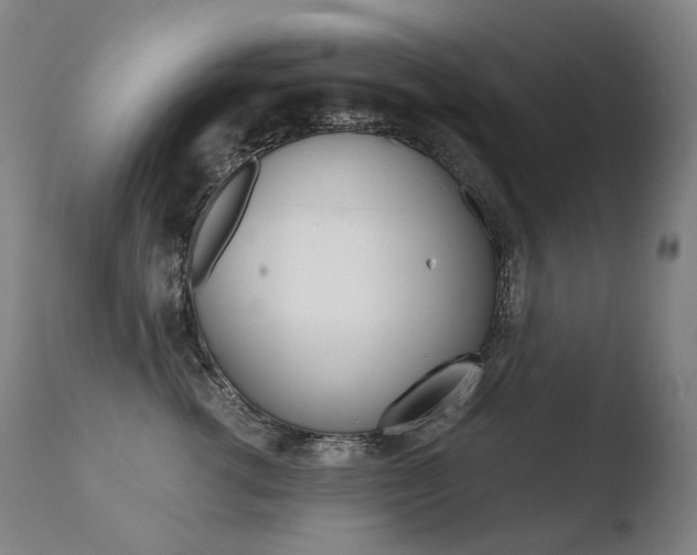 X0000110670762200906121101