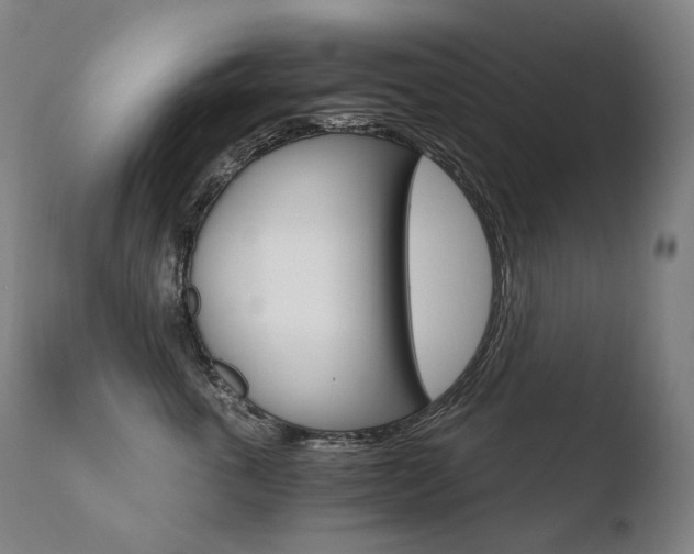 X0000110670763200906121101