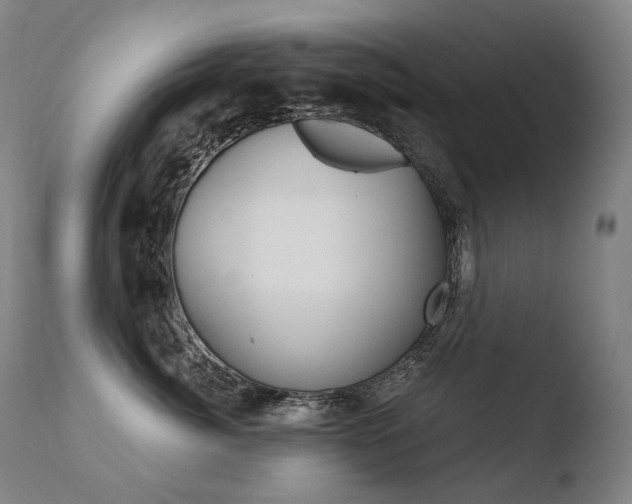 X0000110670764200906121101