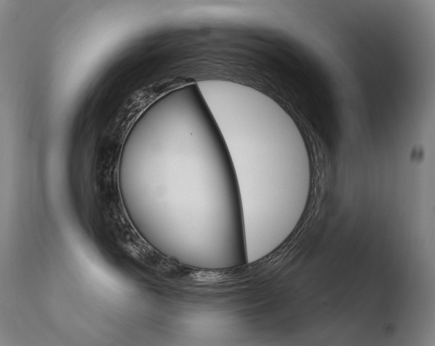 X0000110670766200906121101