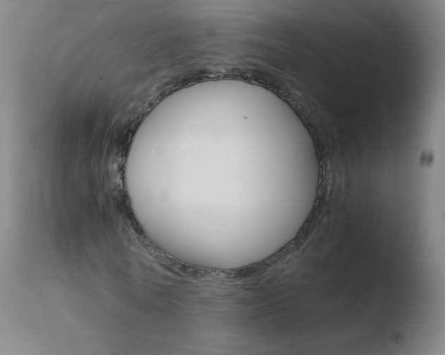 X0000110670770200906121100