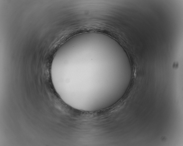 X0000110670771200906121100