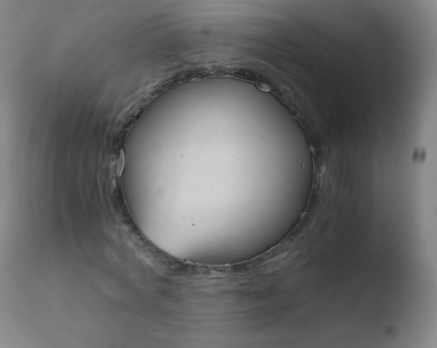 X0000110670772200906121100