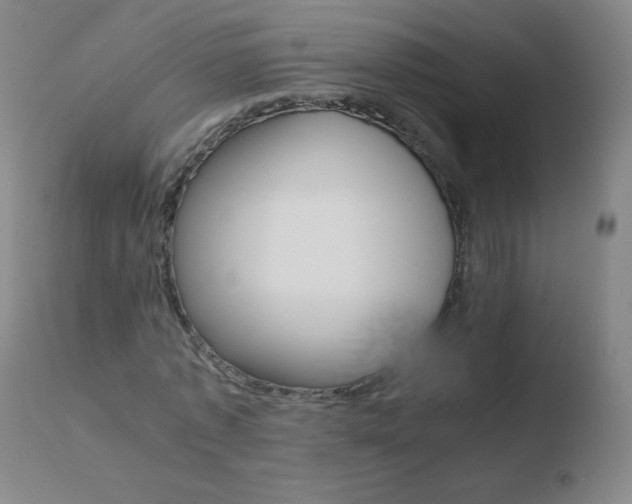 X0000110670773200906121100