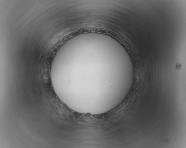 X0000110670774200906121100