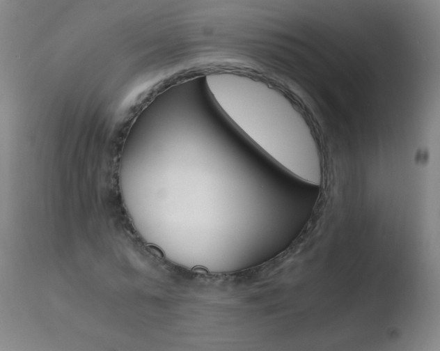 X0000110670775200906121100