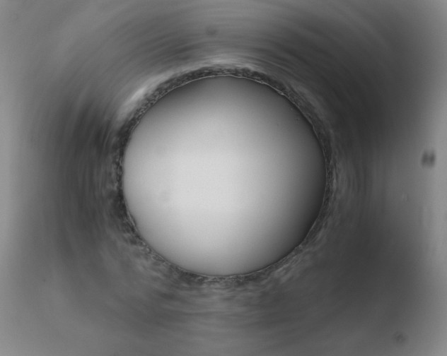 X0000110670776200906121100