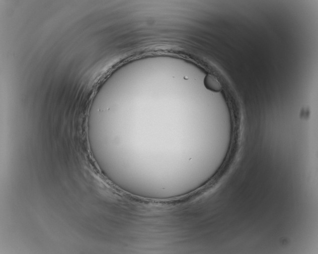 X0000110670777200906121100