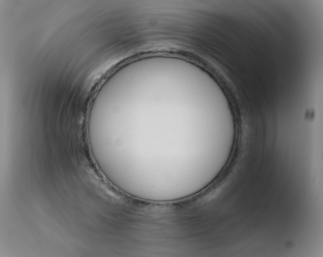 X0000110670778200906121100