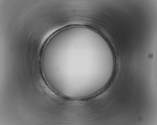 X0000110670779200906121100