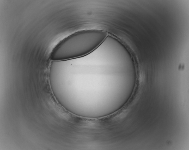X0000110670781200906121100