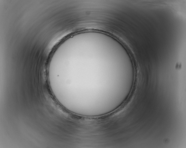 X0000110670782200906121100