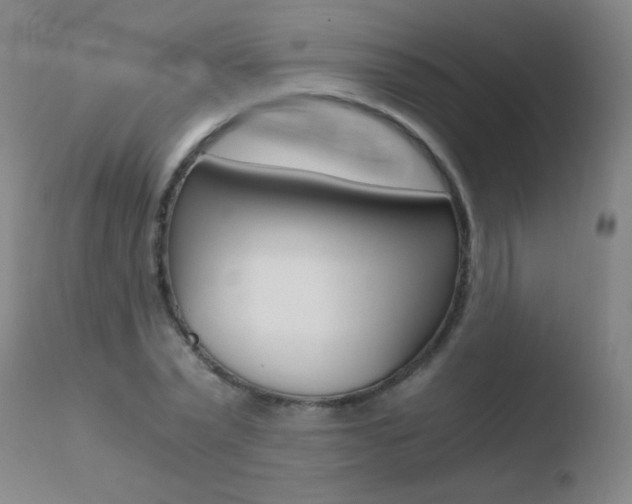 X0000110670783200906121100
