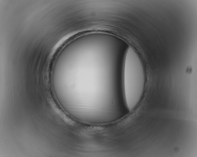 X0000110670784200906121100