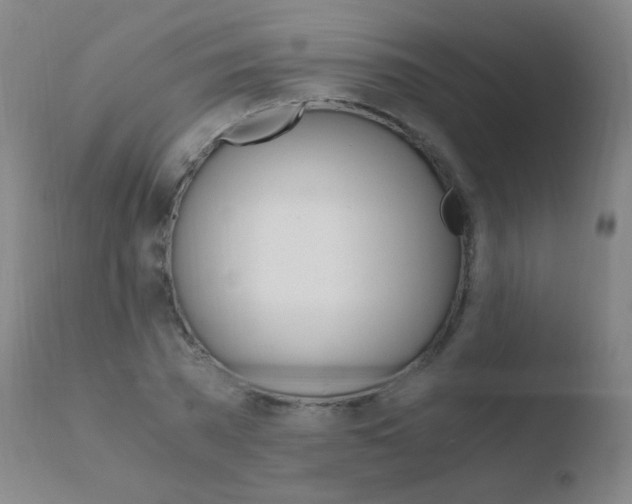 X0000110670785200906121100