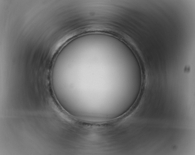 X0000110670786200906121100