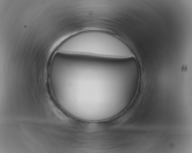 X0000110670787200906121100