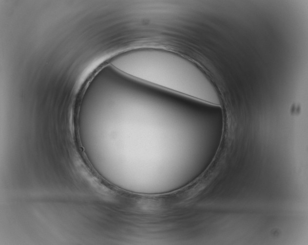 X0000110670788200906121100