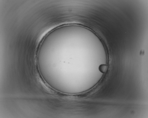 X0000110670789200906121100